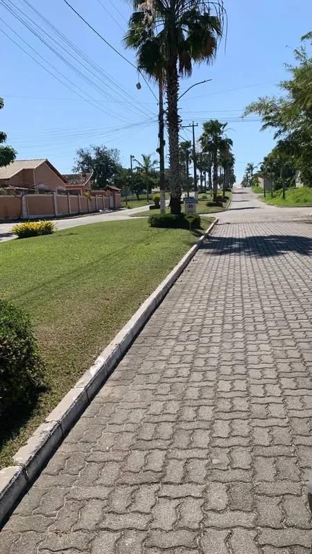 Alameda arborizada