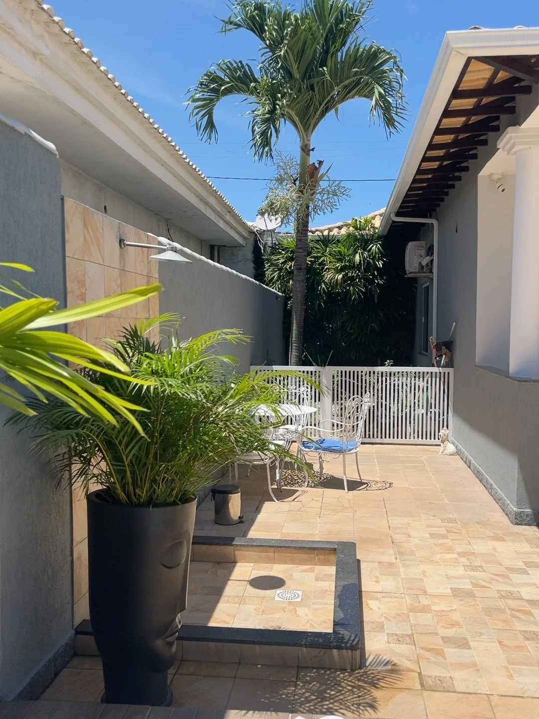 Jardim de inverno com palmeira